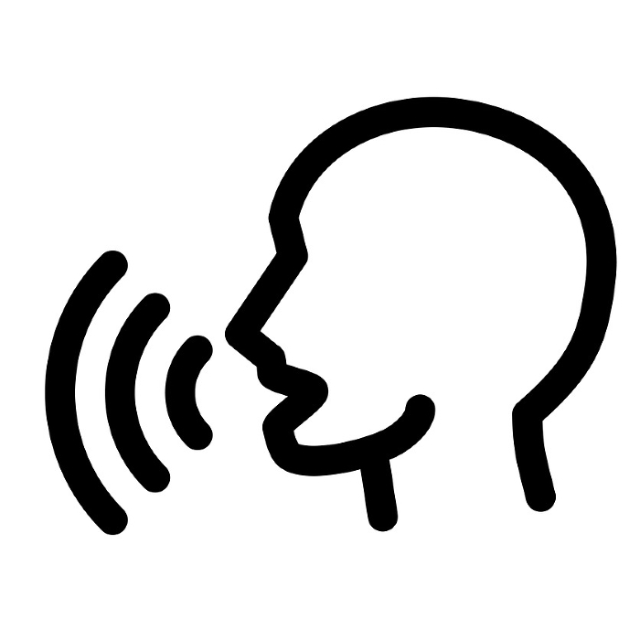 Line style icons representing biometrics, voice, voiceprint
