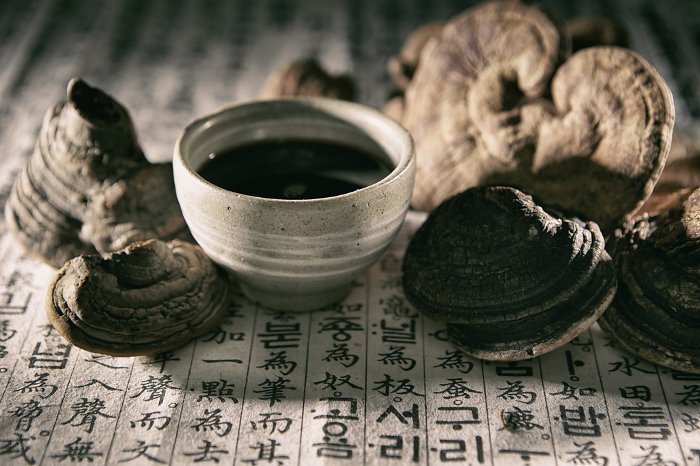 Ganoderma and Chinese Herbal Extracts and Decoctions Chinese Medicine and Herbal Medicine Image