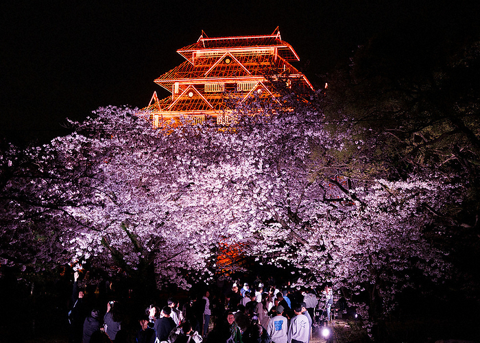 The  Phantom Keep  that appeared above the castle tower in the ruins of Fukuoka Castle Illuminated with cherry blossoms in full bloom, the  phantom castle tower  appears above the castle tower in the ruins of Fukuoka Castle in Chuo Ward, Fukuoka City, April 4, 2024, 7:15 p.m. Photo by Kota Yoshida