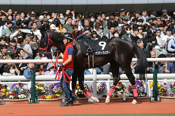 2024 Violet Stakes 2024 03 31 HANSHIN 09R Sarah type 3 years old Open Violet S VIOLET STAKES 3rd   1 favorite Nasty Weather   Photo by Eiichi Yamane AFLO 