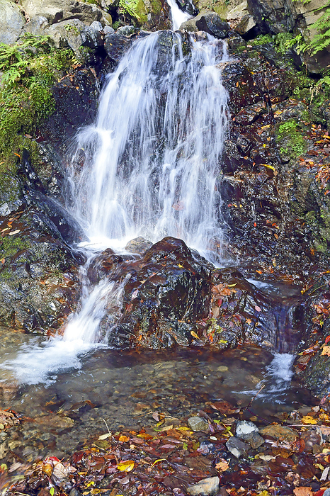Iridogatake Idodani Mumyo Falls, Mie Prefecture