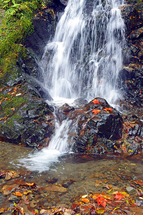Iridogatake Idodani Mumyo Falls, Mie Prefecture