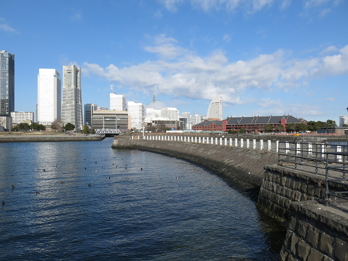 ZOU-NO-HANA breakwater at Yokohama Port (Yokohama Landmark Tower, Giant Ferris Wheel, Yokohama Red Brick Warehouse, etc. in the background)
