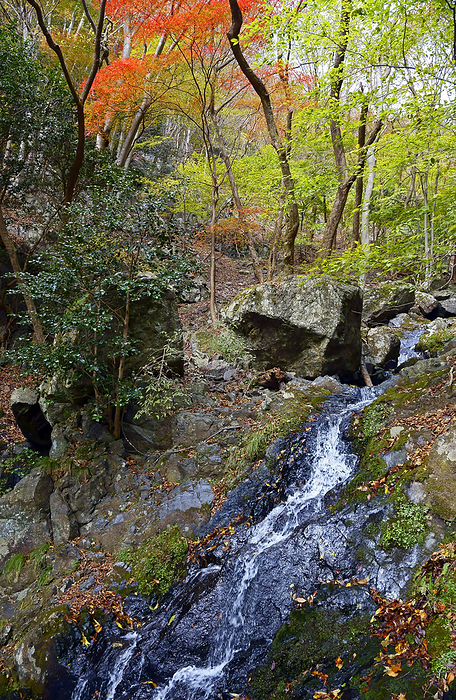 Irimidogatake Ikegadani, Mie Prefecture