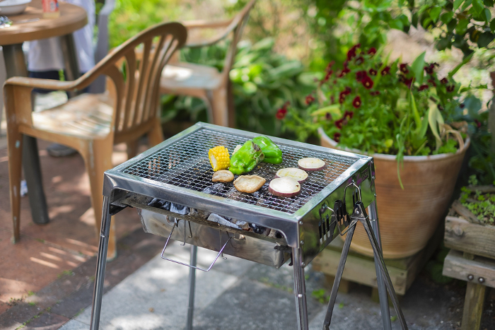 Barbecue in the garden _ grilled vegetables