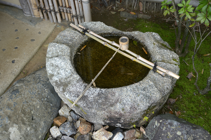 Tezuibachi at Seiren-tei, Toji-in Temple, Kita-ku, Kyoto