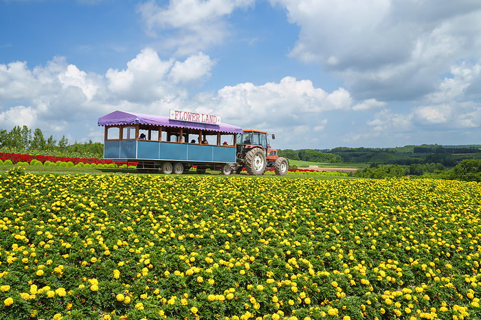 Hokkaido Flowerland Kamifurano