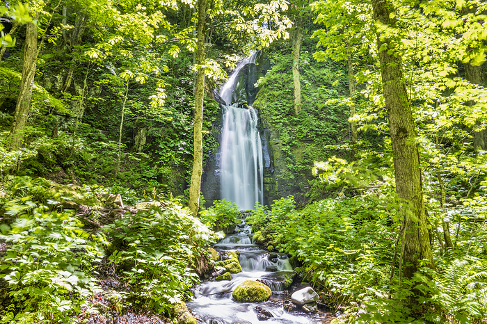 Oirase Unoi Waterfall Towada City, Aomori Prefecture