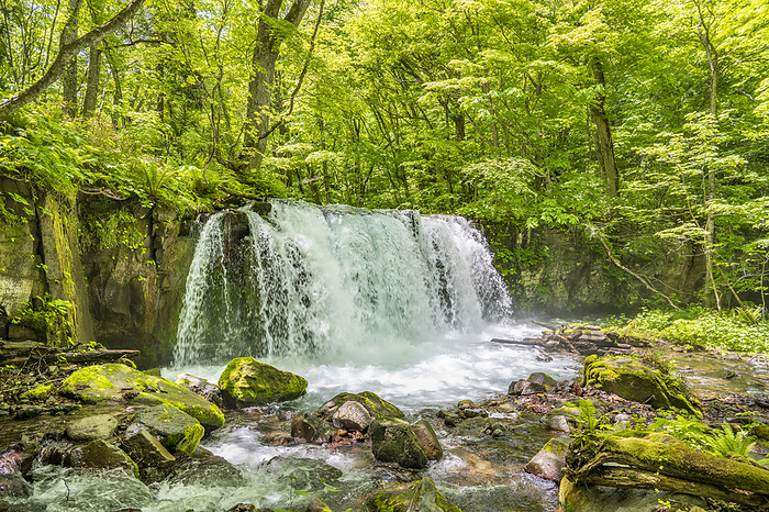 Choshi Great Falls in Oirase Keiryuu, Towada City, Aomori Prefecture
