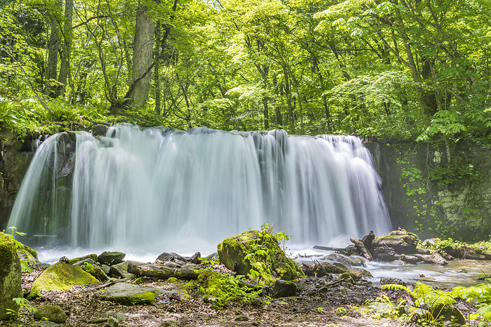 Choshi Great Falls in Oirase Keiryuu, Towada City, Aomori Prefecture