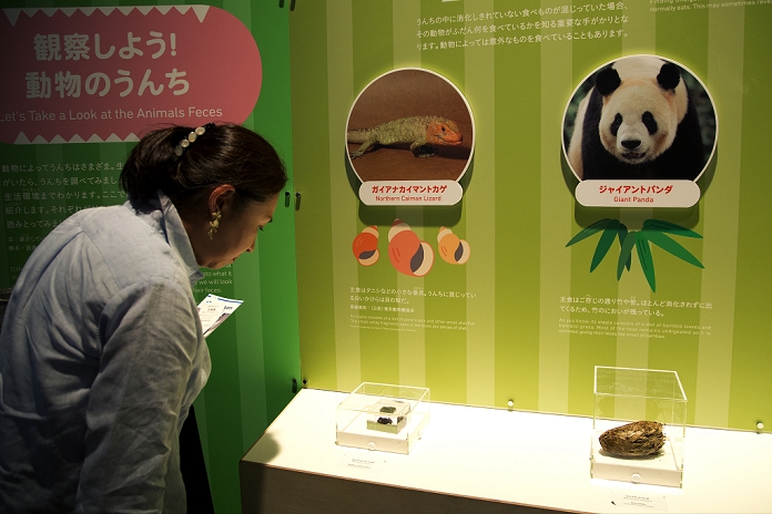 Experience the  Poo Poo Feelings Toilet exhibitions are popular August 1, 2014, Tokyo, Japan   A visitor sees the animals feces at the Toilet  Human Waste   Earth s Future exposition on August 1, 2014. The Toilet  Human Waste   Earth s Future is the exposition to listen the toilet s voice and explore what is the  happy toilet  for each human being on the earth at National Museum of Emerging Science and Innovation in Tokyo from July 2 to October 5. Toilet is related not only to our daily life but also global environment. The exposition consist of eight areas where you can learn toilet problems for each generation and in the world.  Photo by Rodrigo Reyes Marin AFLO 