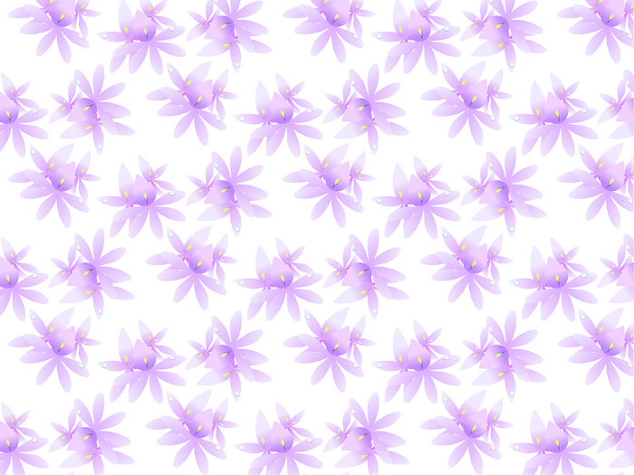 Seamless background of soft, soft, purple flowers of hotei grass