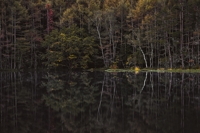Oshika Pond in late autumn