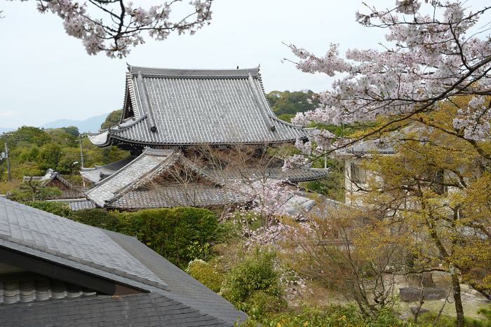 Distant view from Kounji Temple, Tetsugaku-no-michi, Sakyo-ku, Kyoto