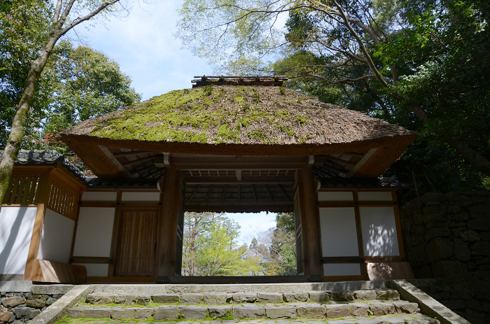 Honenin temple gate Shikagaya, Sakyo-ku, Kyoto