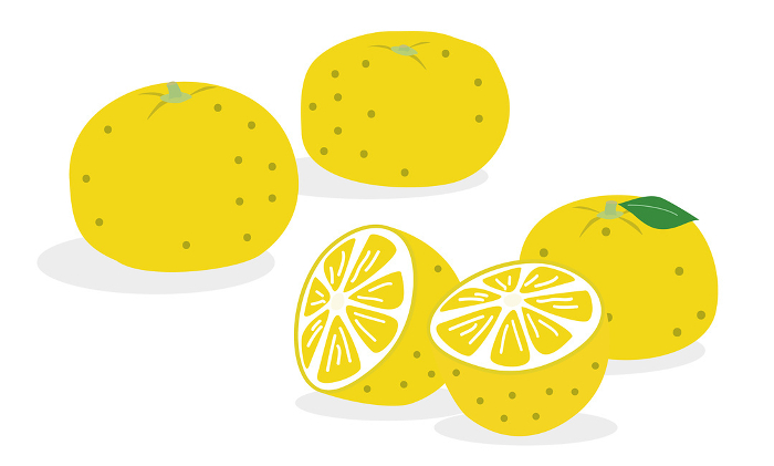 Clip art of citron