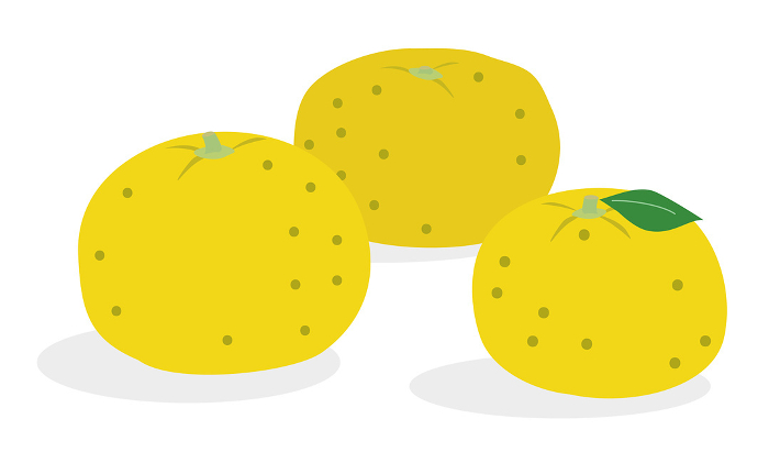 Clip art of citron