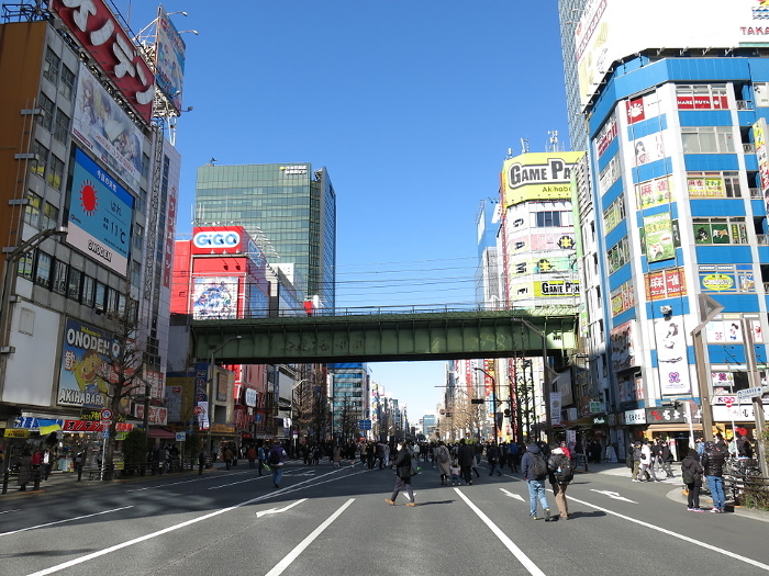 Chuo-dori Avenue in Akihabara (near Onoden's main store), a busy pedestrian street on Sunday.