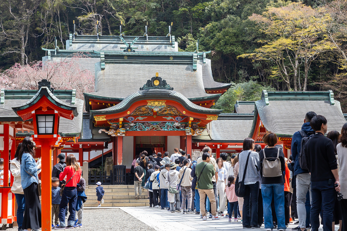 Crowds lined up to worship at the main shrine of Kirishima Jingu, a national treasure.