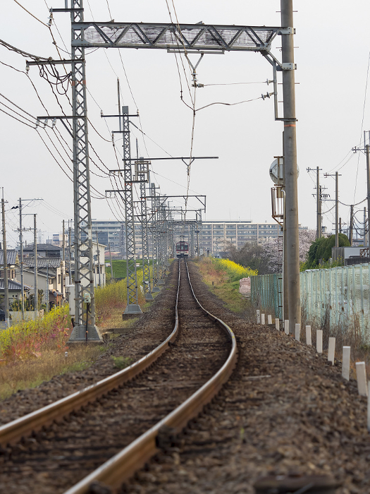 Scenery of the Kintetsu Domyoji Line in spring