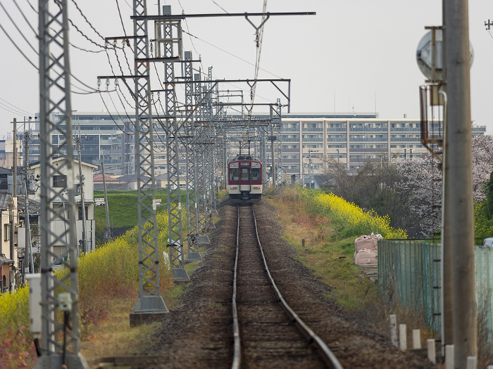 Scenery of the Kintetsu Domyoji Line in spring