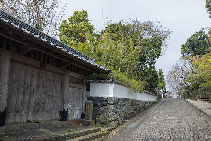 Samurai Residence Street and Cherry Blossoms Kashima City, Saga Prefecture