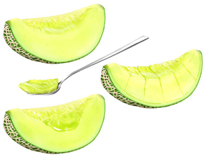 Vector Melon Cut Green Green Green Meat Spoon