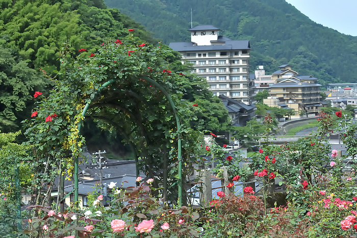 Atsumi Onsen Rose Garden Tsuruoka City, Yamagata Prefecture