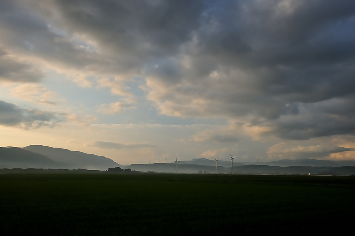 Morning mist and windmills Shonai Town, Yamagata Prefecture