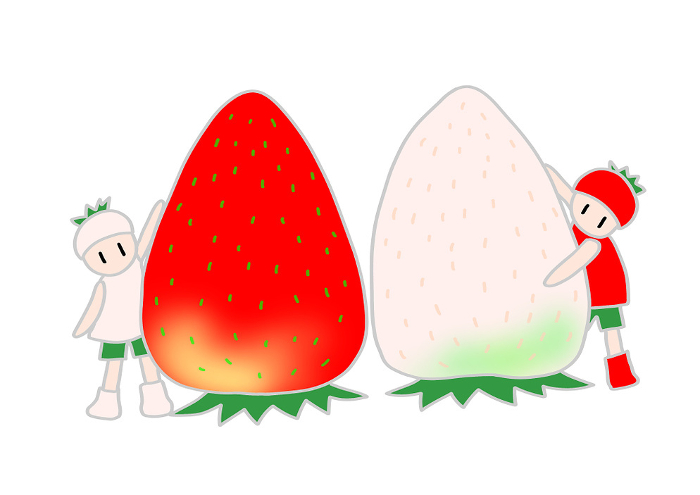 Red strawberries, white strawberries and children