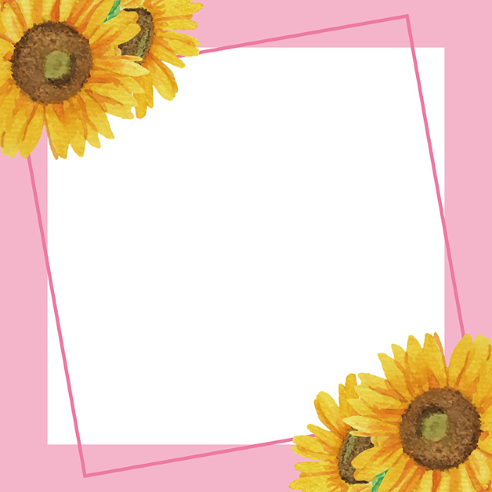 Vector illustration of square frame with hand-drawn watercolor sunflowers in upper left and lower right (pink)