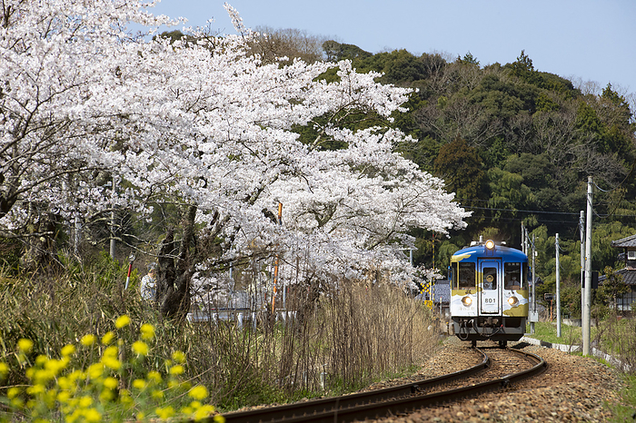 Kyoto Kyoto Train of the Sea