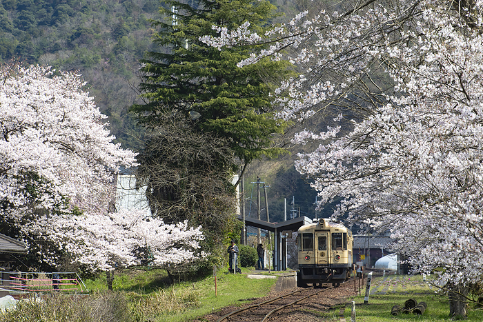 Regular train of Kyoto Tango Railway, Kyoto, Japan