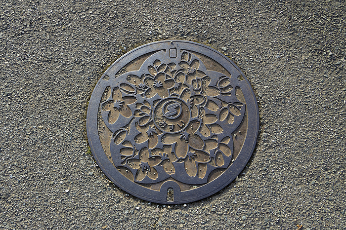 Manhole in former Tannan Town, Hyogo Prefecture