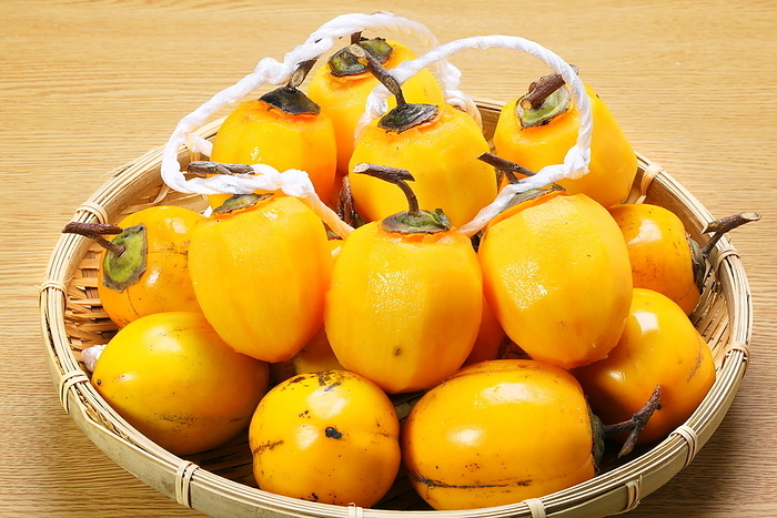 Saijo persimmon for vine persimmon