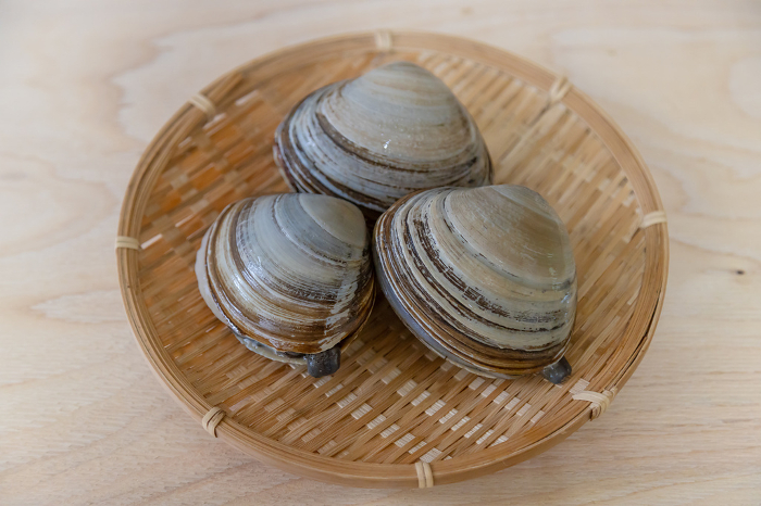 Hokyoryo clam arranged in a colander