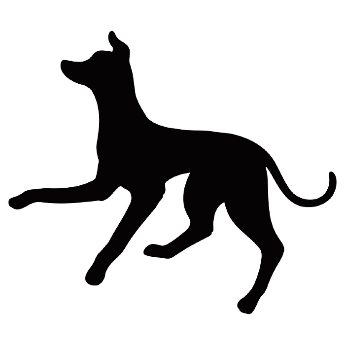 Simple and cute Italian greyhound silhouette jumping