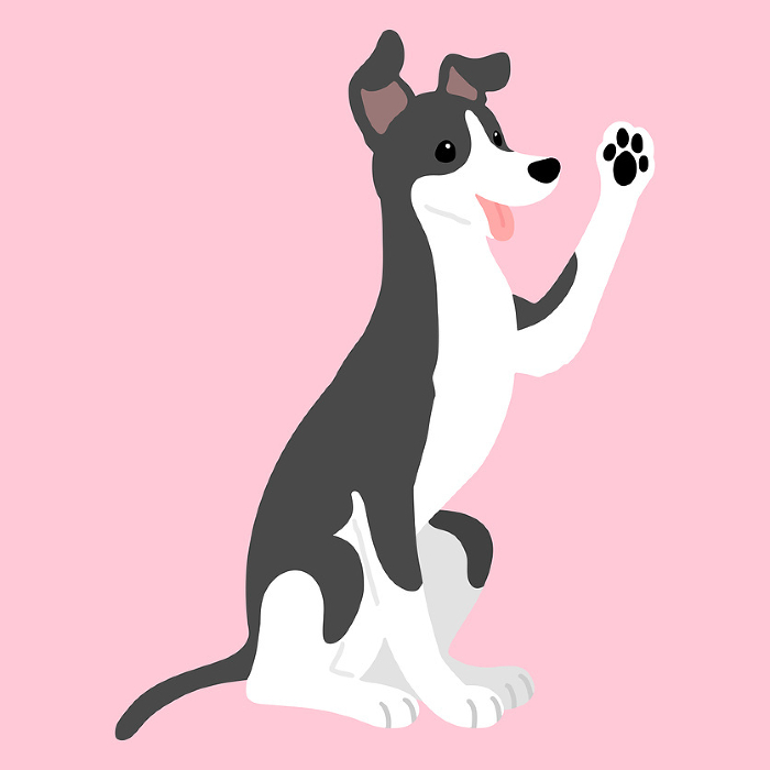 Clip art of simple and cute Italian greyhound making hands No main line