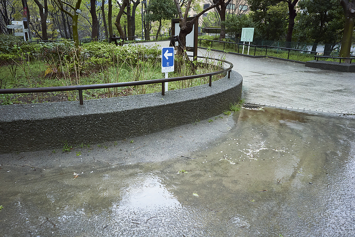 Photographed in 2024 Rainwater flowing toward a drainage ditch April 9, 2024 a.m. Shinjuku ku, Tokyo