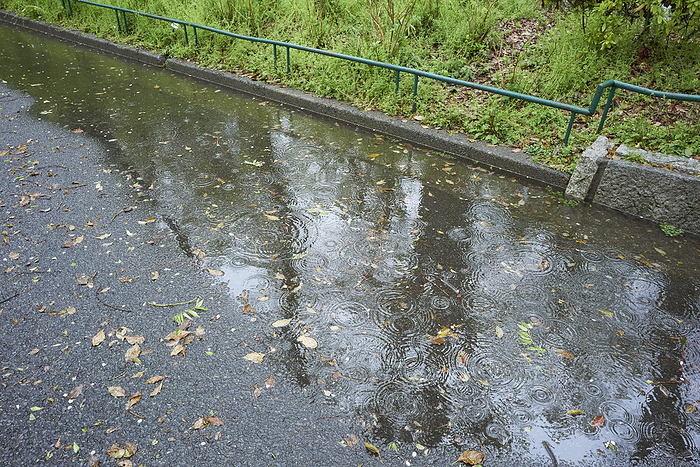 Photo taken in 2024 Puddle of water on asphalt April 9, 2024 a.m. Shinjuku ku, Tokyo