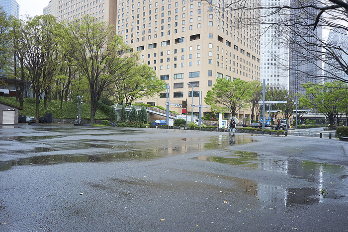 Park in the city center on a rainy day, photographed in 2024 April 9, 2024 a.m. Shinjuku ku, Tokyo