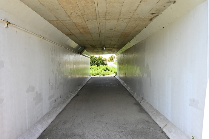 Elevated Tunnel