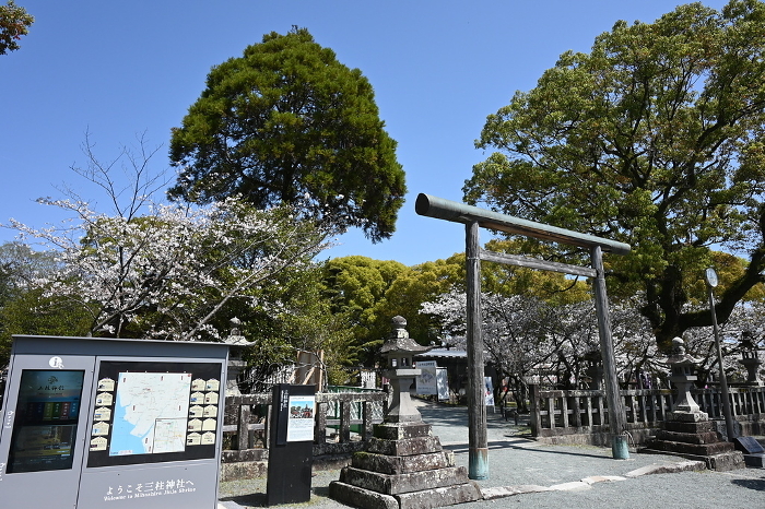 Torii at the entrance to Yanagawa Misumi-jinja Shrine