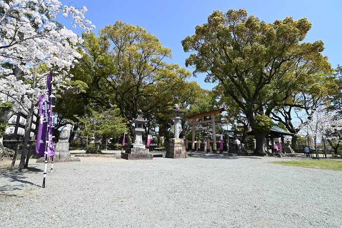 Spring Shrine Plaza