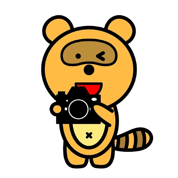 A raccoon dog with a camera