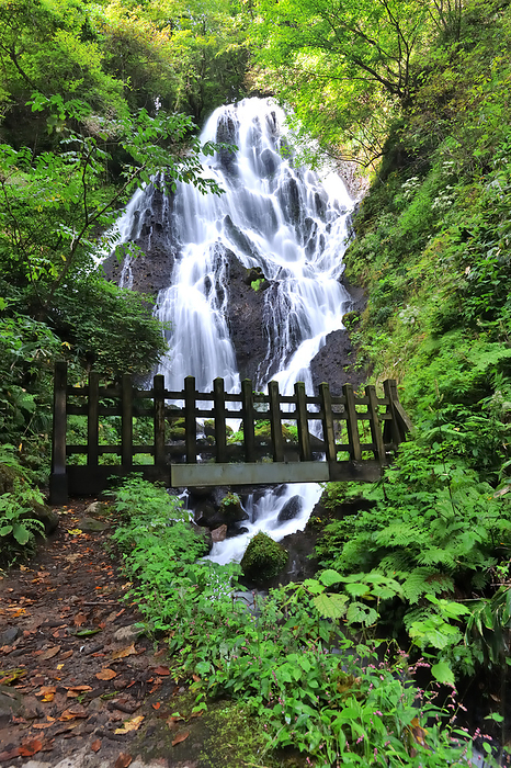Kaiun Seisetsu no Taki Fudo no Taki Waterfall Sakata City, Yamagata Prefecture