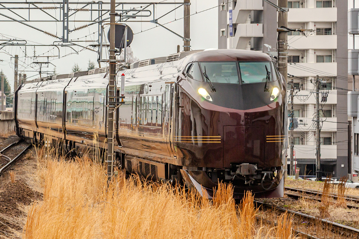 Series E655 Oshoushi Train