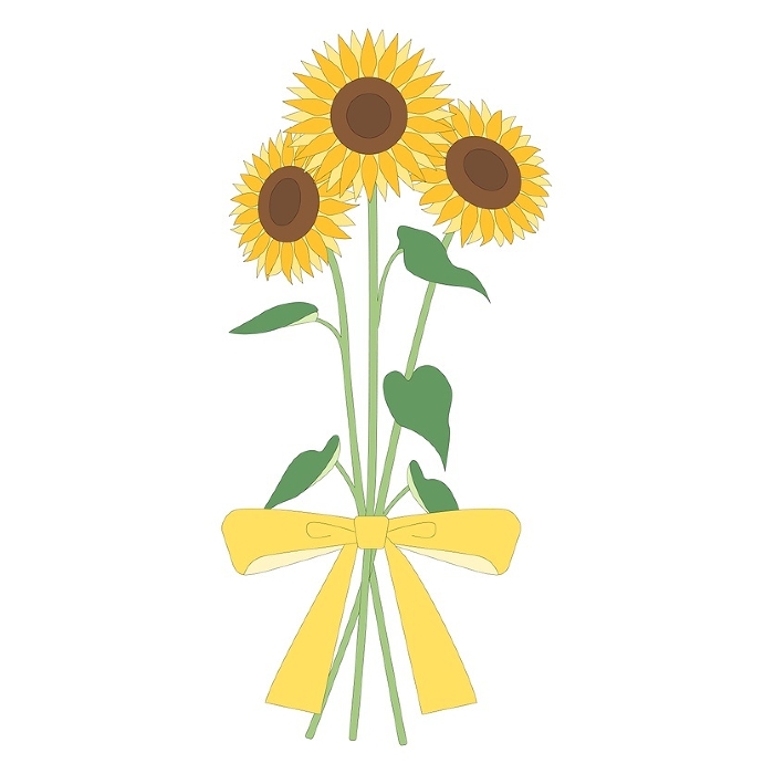 Sunflower bouquet illustration, icon, vector
