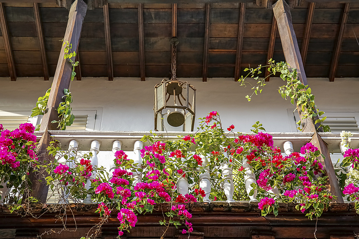 Low angle view of a balcony with pink flowers of a historic building in Old Town Cartagena, Colombia Low angle view of a balcony with pink flowers of a historic building in Old Town Cartagena, Colombia, by Zoonar Uwe Bergwitz