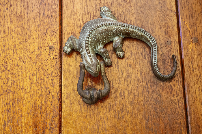 Artful metal door knocker in the shape of a lizard on a wooden door, Old Town, Cartagena, Colombia Artful metal door knocker in the shape of a lizard on a wooden door, Old Town, Cartagena, Colombia, by Zoonar Uwe Bergwitz